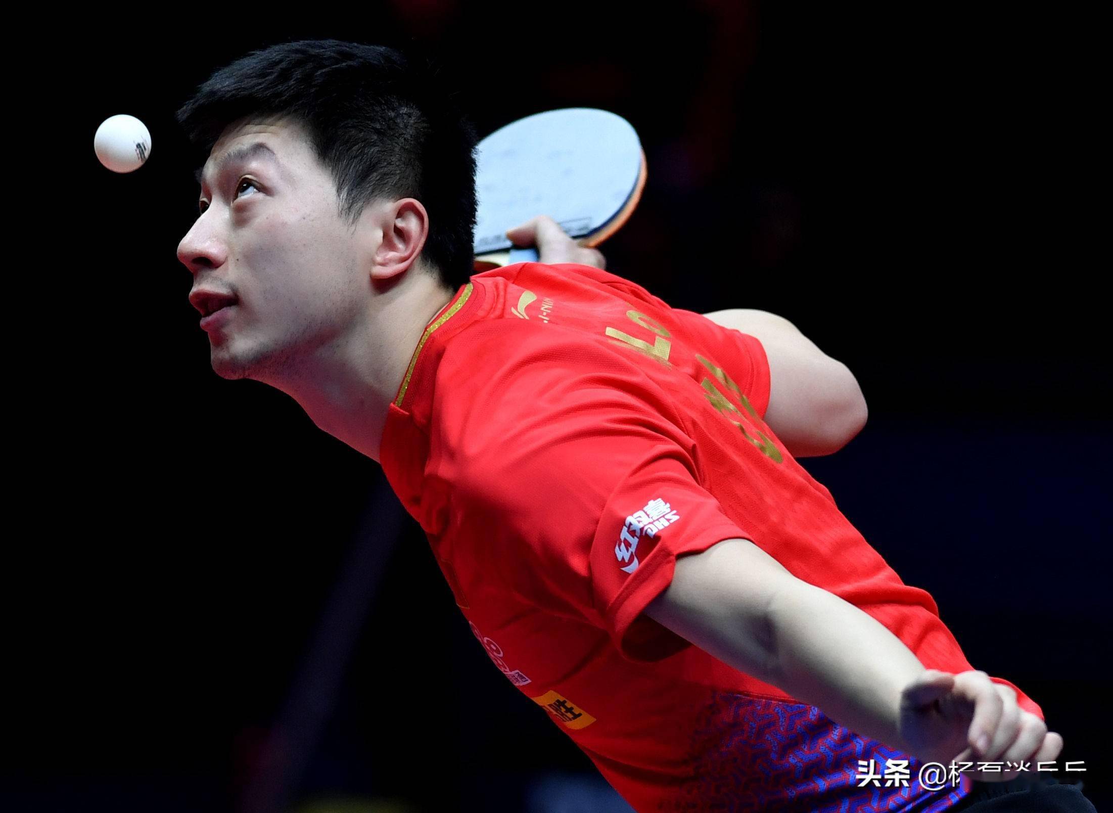 橄榄枝的原 橄榄枝的原